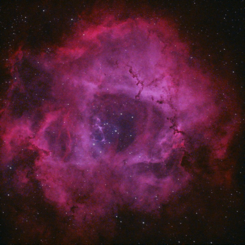 NEBULOSA ROSETTA